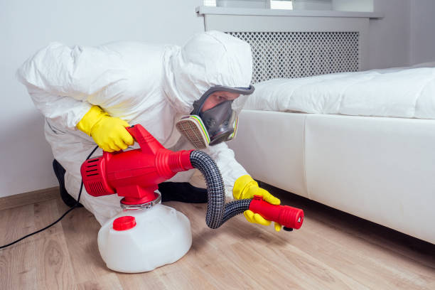 Best Rat Extermination Near Me  in Blauvelt, NY